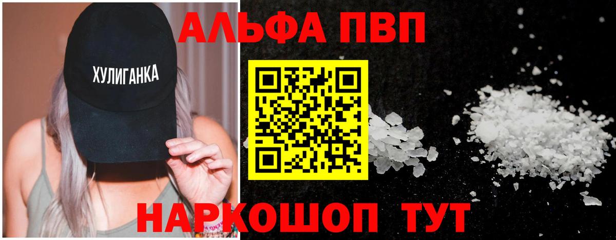 Alfa_PVP СК КРИС Грозный