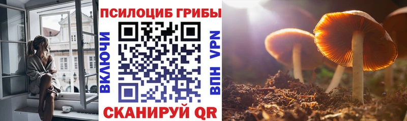 сколько стоит  Грозный  Галлюциногенные грибы MAGIC MUSHROOMS 