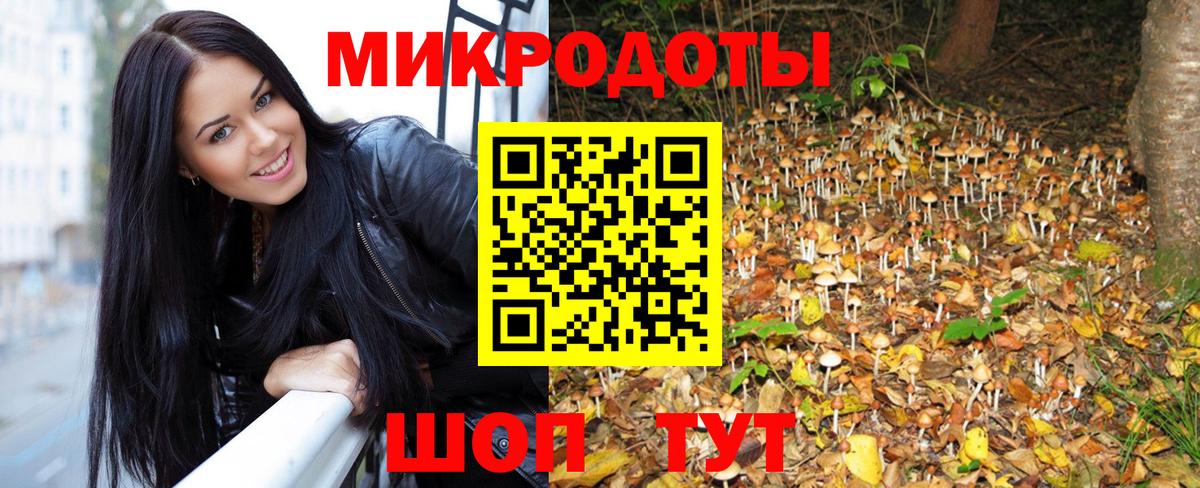 Псилоцибиновые грибы Psilocybine cubensis  Вход с VPN  Псилоцибиновые грибы Psilocybe  Грозный 