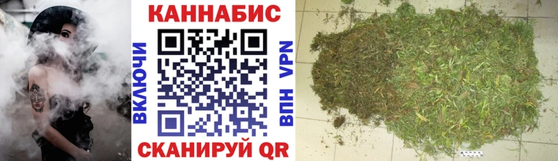 Бошки Шишки план  Грозный 